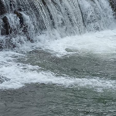 Domki Nad Stebnikiem 우스트르치키 돌네 외부 사진